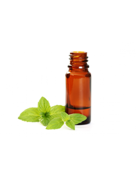 Peppermint Essential Oil