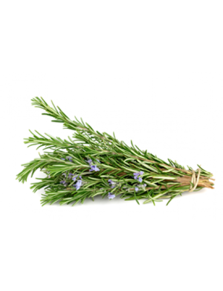 Rosemary Essential Oil