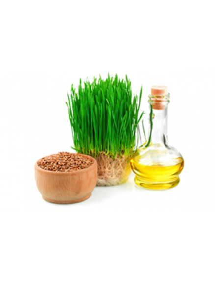 Wheat Germ Oil 1 Liter