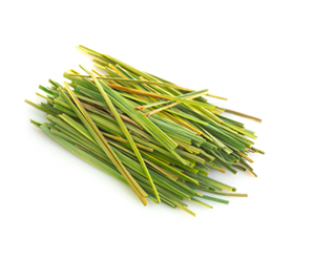 Lemongrass Essential Oil