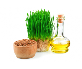 Wheat Germ Oil 1 Liter